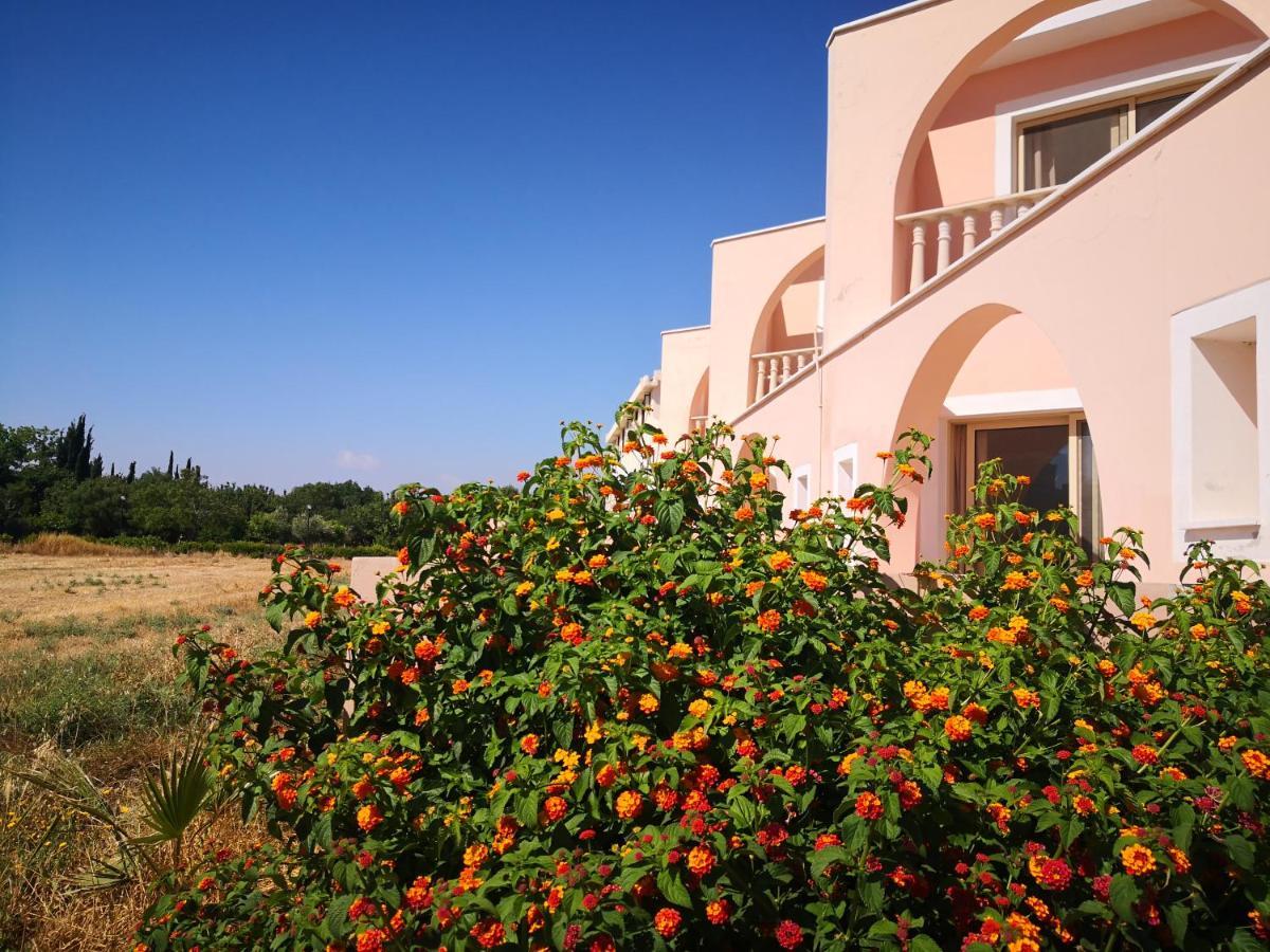 Seashell Apartments Paphos Bagian luar foto